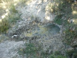 Small spring to pump water from