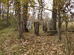 Mossy Oak Camouflage patterns Eastern Oklahoma