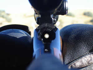 Bore Sighting Model 1885, 270 WSM