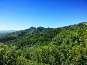 View of mountain