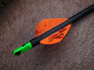 Bloody QuikSpin ST Speed Hunter arrow vanes.