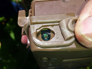 Water damaged Browning Recon Force XR (BTC-2XR) trail camera