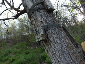 Browning Recon Force XR (BTC-2XR) trail camera with battery pack