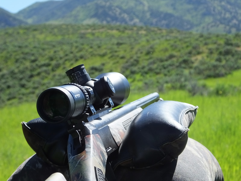 CVA Accura V2 with Vortex Viper HS LR