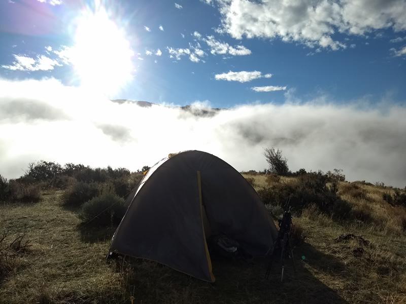 Our deer camp.