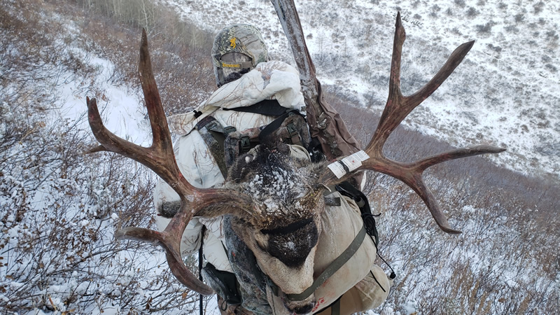 Packing Out Dallen's 2019 Buck - Durst Mountain CWMU