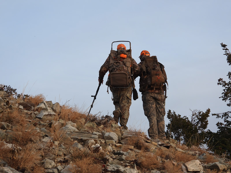Brothers hunting.