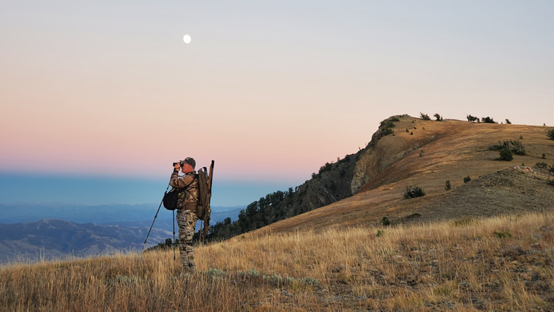 Glassing for mule deer mule deer.