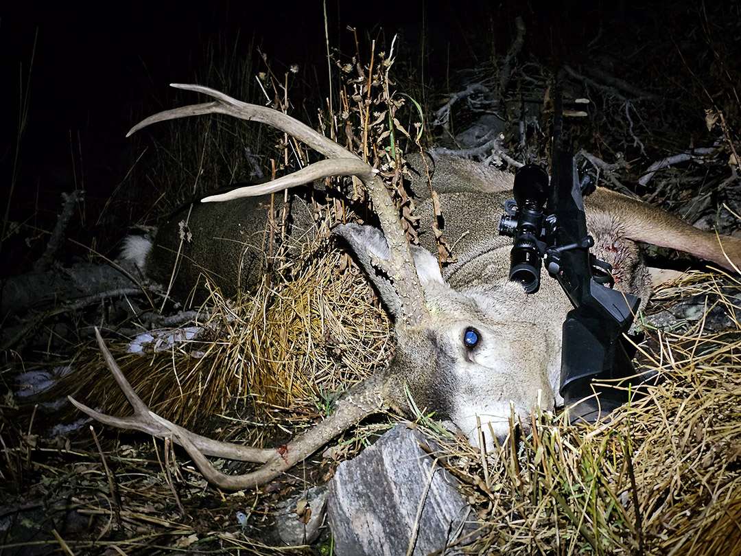2024 Mule Deer Buck taken with my X-Bolt 2 Composite Hunter 